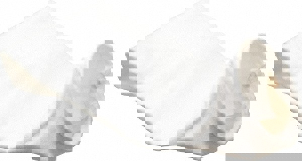 Size 2, High Flow Bag Filter